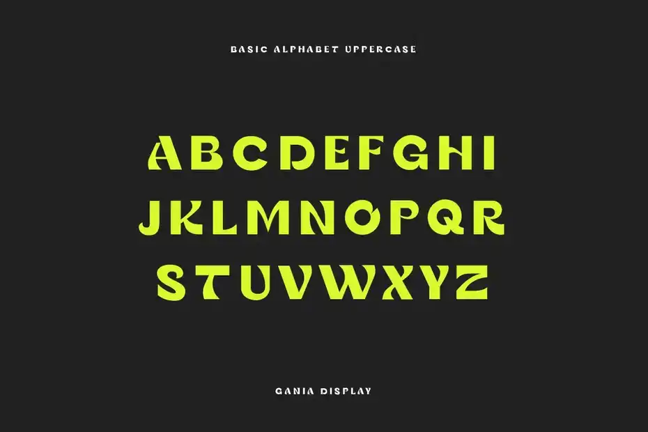 فونت انگلیسی Gania Display Typeface - 13