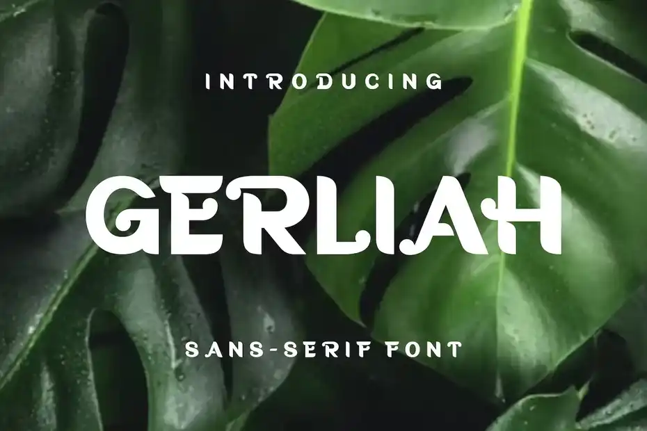 فونت انگلیسی Gerliah Font - 5
