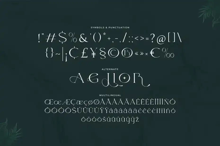 فونت انگلیسی Giove - A Modern Display Typeface - 11