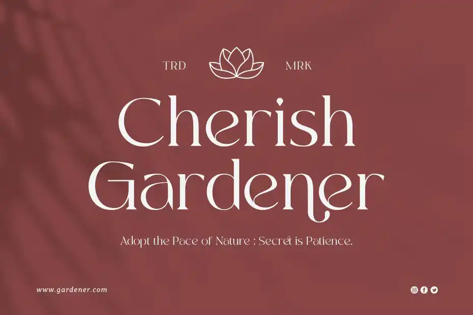 فونت انگلیسی Kayonest A Modern Serif Typeface - 11