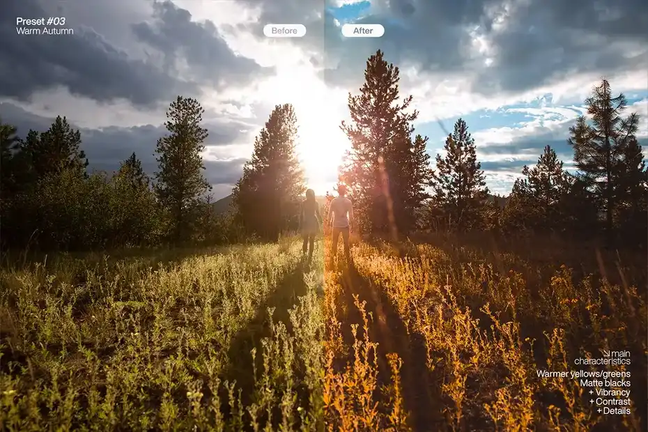 پریست لایت روم Lightroom Presets - Pack One - 5