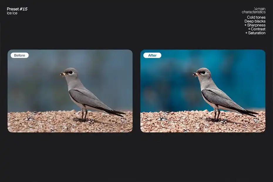 پریست لایت روم Lightroom Presets - Pack One - 11