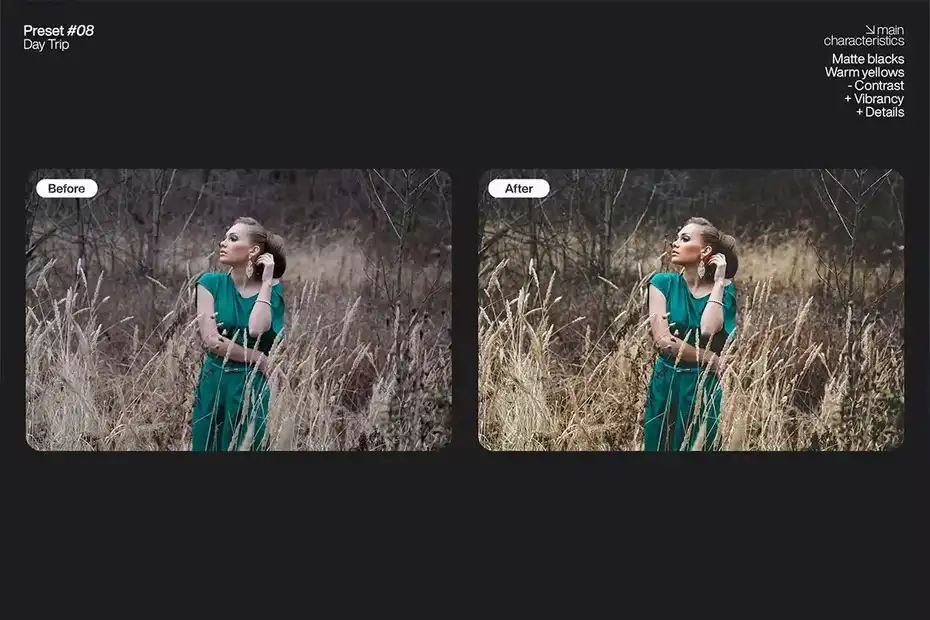 پریست لایت روم Lightroom Presets - Pack One - 13
