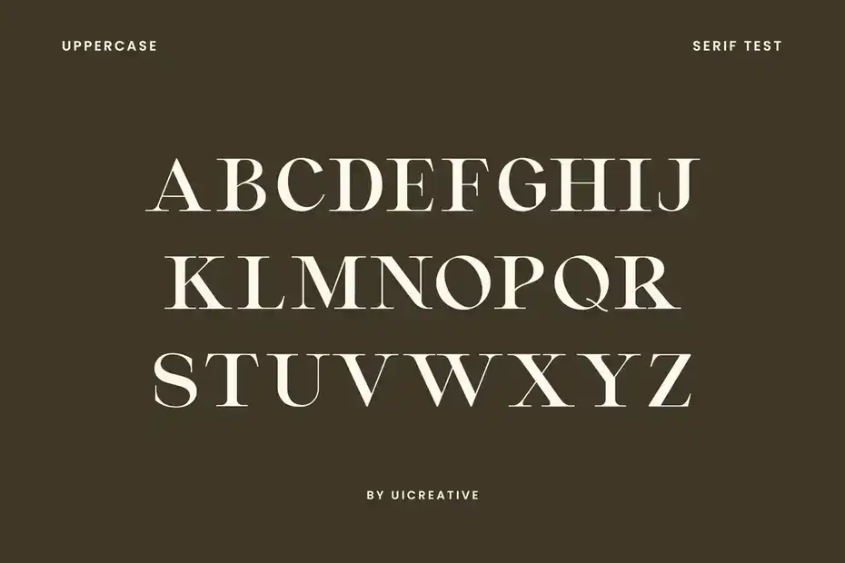 فونت انگلیسی Montvolca Elegant Serif Font - 11