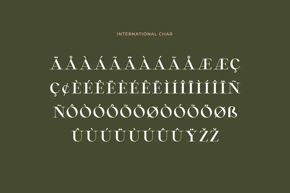 فونت انگلیسی Montvolca Elegant Serif Font - 13