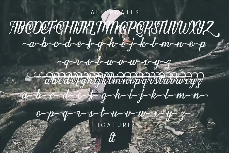 دانلود فونت انگلیسی Olivias Typeface - 12 فونت انگلیسی Olivias Typeface - 11