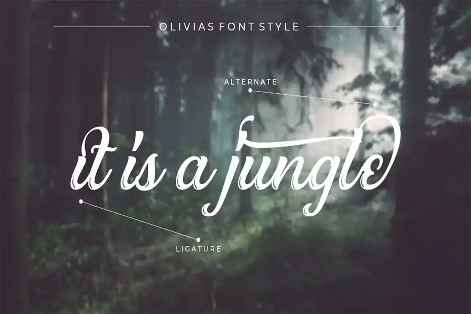 دانلود فونت انگلیسی Olivias Typeface - 16 فونت انگلیسی Olivias Typeface - 15