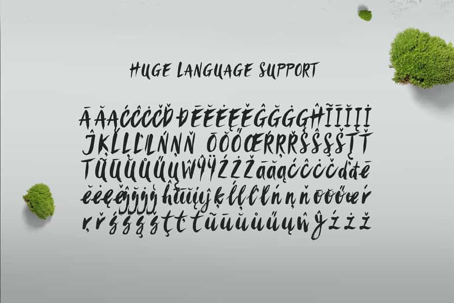 فونت انگلیسی Sanös Extended Script Font