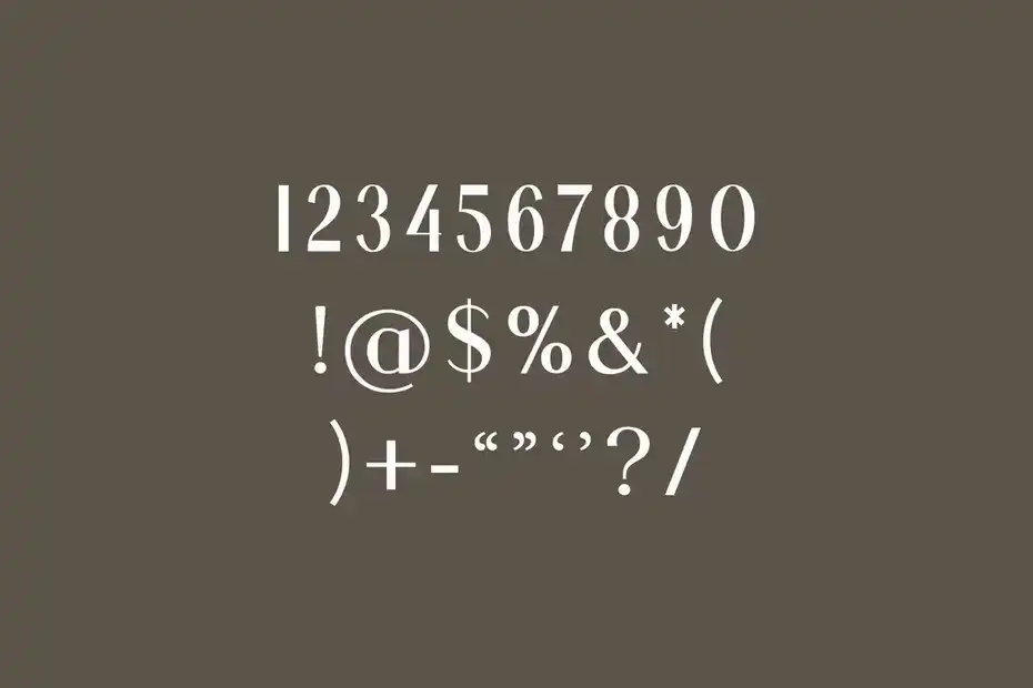 فونت انگلیسی Silvania Modern Serif Font - 7