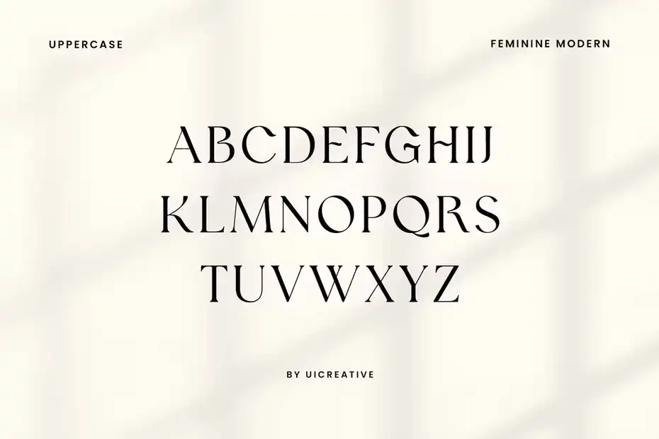فونت انگلیسی Silvania Modern Serif Font - 9