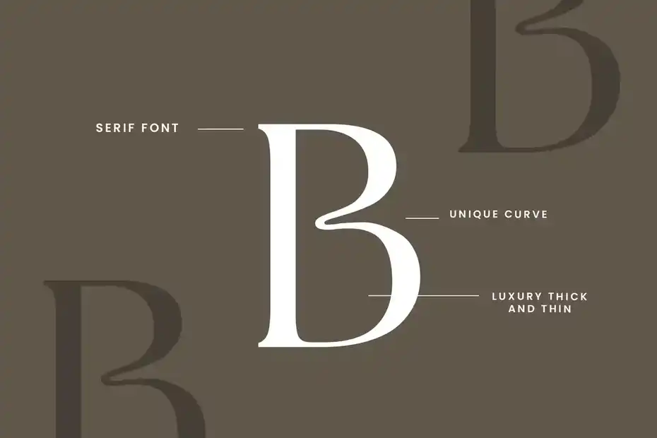 فونت انگلیسی Silvania Modern Serif Font - 17