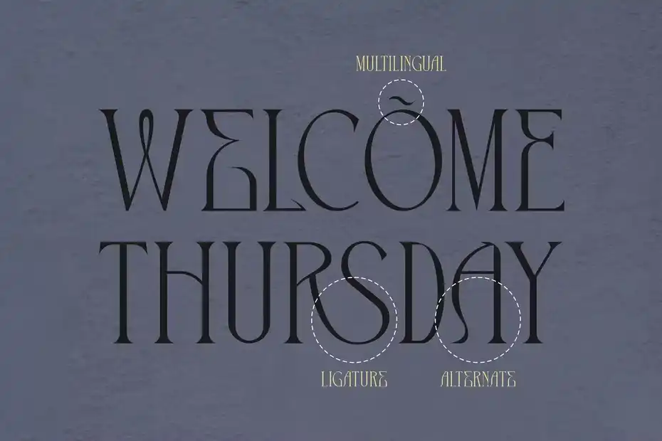 فونت انگلیسی The Cronicle Serif Display Font - 21