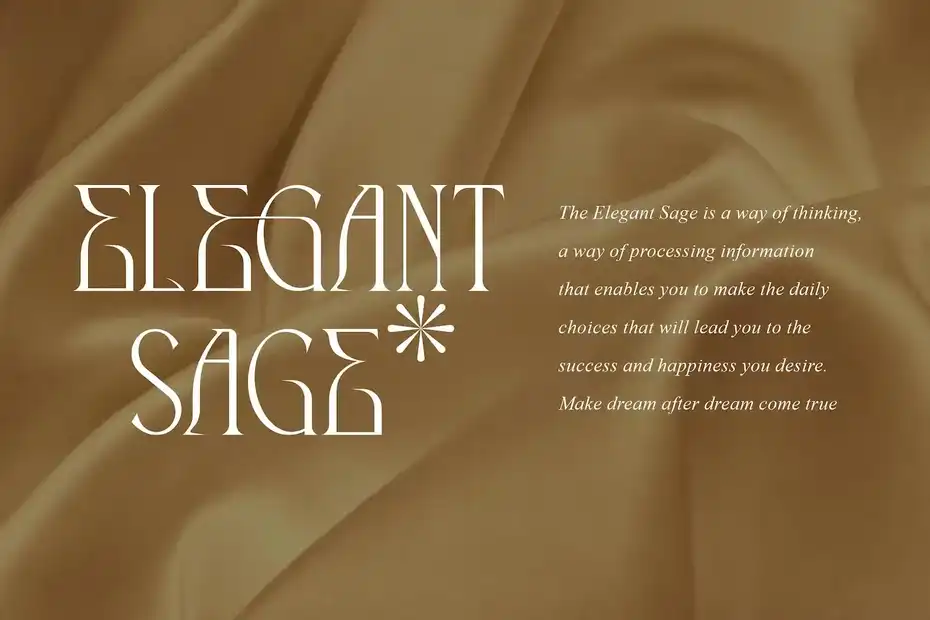 فونت انگلیسی The Cronicle Serif Display Font - 23