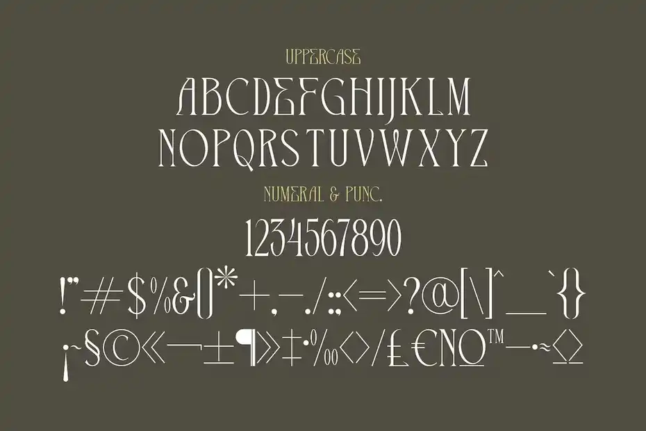 فونت انگلیسی The Cronicle Serif Display Font - 11