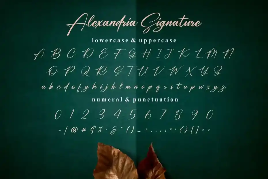 فونت انگلیسی به سبک امضا Alexandria Signature - 3