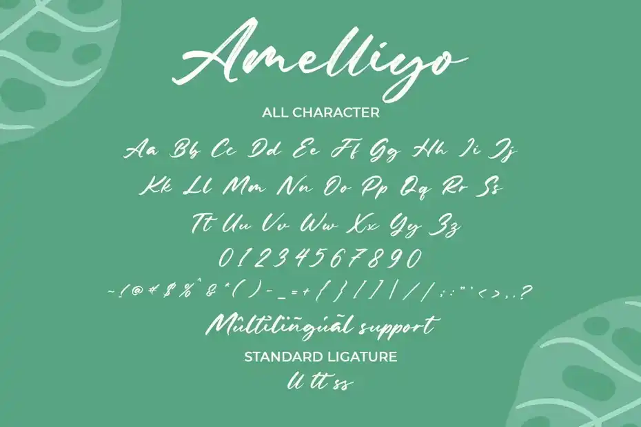 فونت انگلیسی دست نویس Amelliyo-Handwritten Font - 7