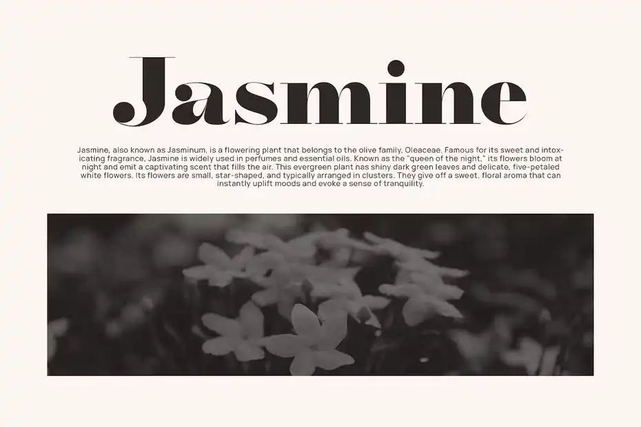 فونت انگلیسی مدرن Arif Elegant Serif Font Typeface - 1