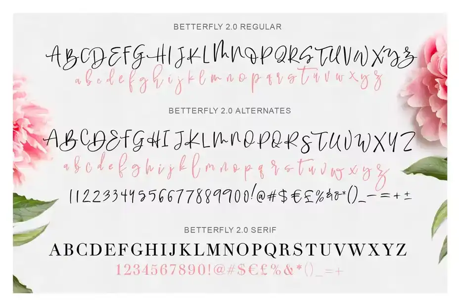 فونت انگلیسی پیوسته BetterFly 2 - Dynamic Font Duo - 23