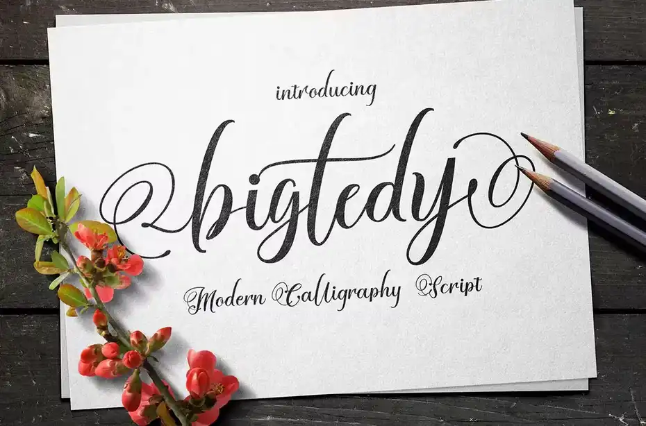فونت انگلیسی دست نویس BIGTEDY - 11