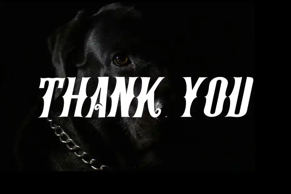 فونت انگلیسی تاتو Black Brody - Aesthetic Blackletter Font - 13