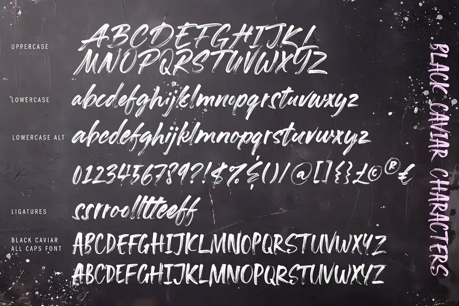 فونت انگلیسی دست نویس Black Caviar SVG Font - 15