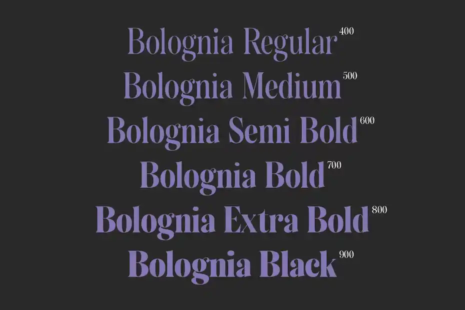 فونت انگلیسی کلاسیک Bolognia - Classic Serif - 3