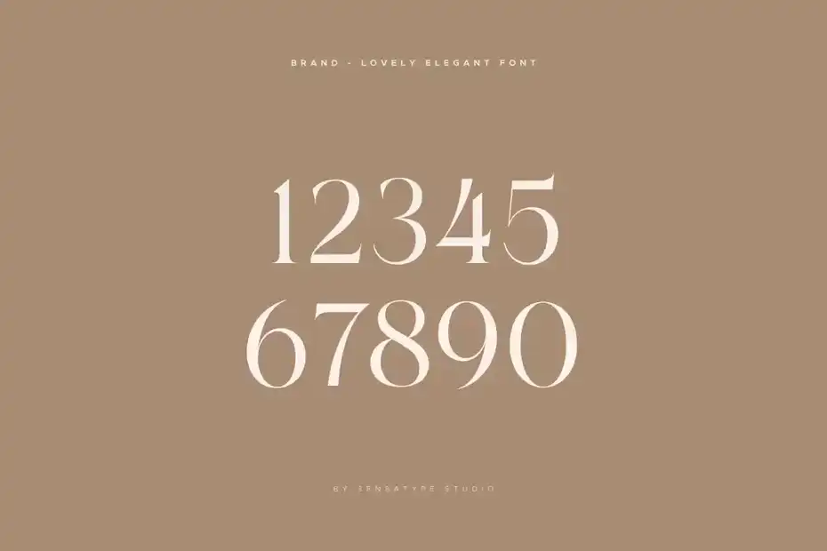 فونت انگلیسی گرافیکی Brand - Lovely Elegant Font - 15