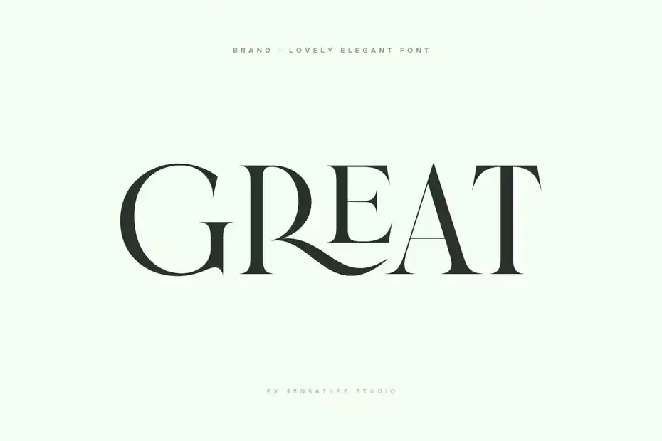 فونت انگلیسی گرافیکی Brand - Lovely Elegant Font - 5