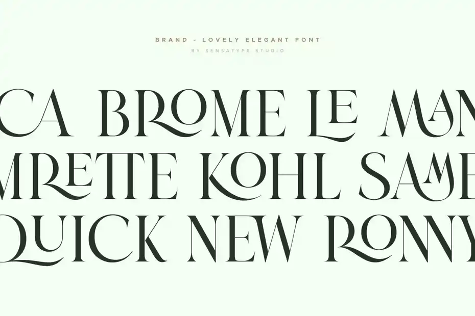 فونت انگلیسی گرافیکی Brand - Lovely Elegant Font - 23