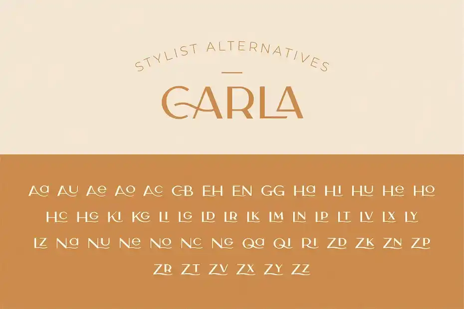 فونت انگلیسی مدرن Carla Sans - Elegant Typeface - 23