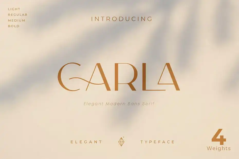 فونت انگلیسی مدرن Carla Sans - Elegant Typeface - 7