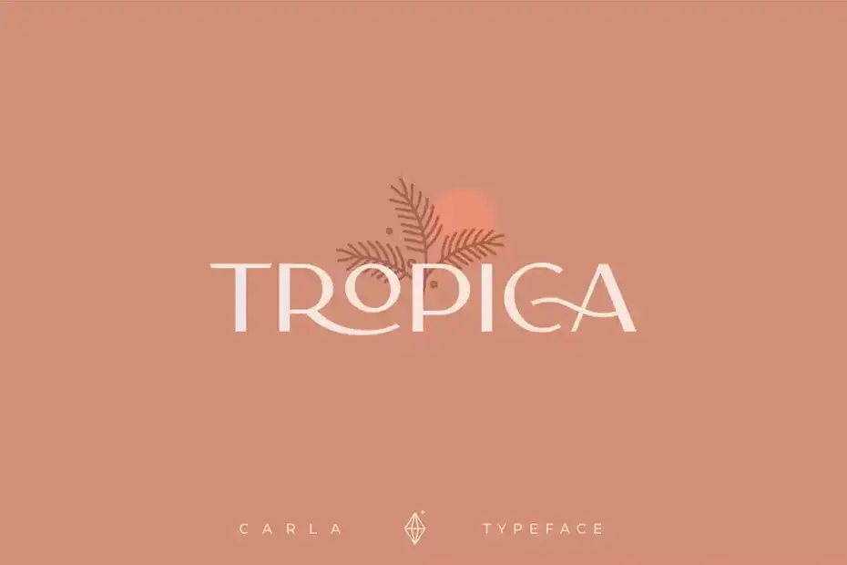 فونت انگلیسی مدرن Carla Sans - Elegant Typeface - 13