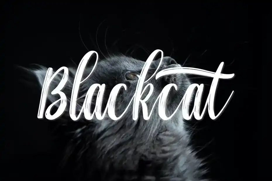 فونت انگلیسی دست نویس Chaniago Natural Brush Typeface - 1