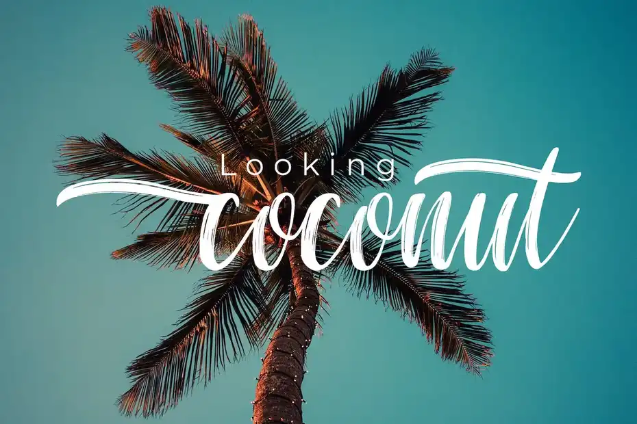 فونت انگلیسی دست نویس Chaniago Natural Brush Typeface - 5