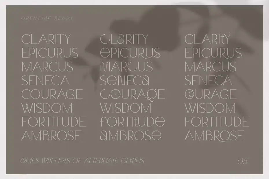 فونت انگلیسی مدرن Claro - Elegant Font Family - 17