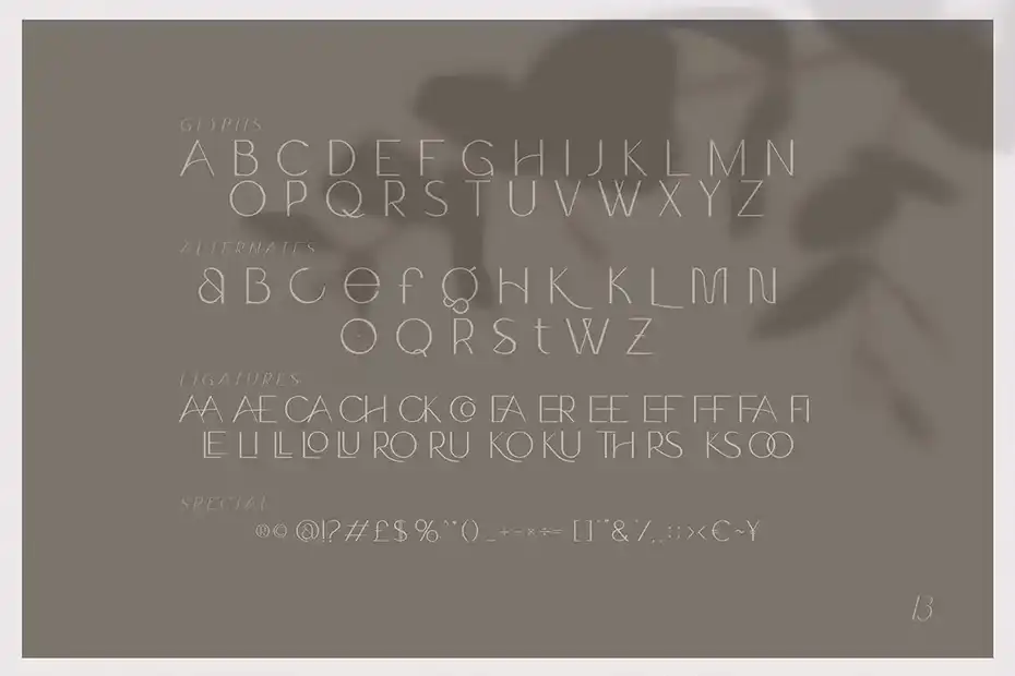 فونت انگلیسی مدرن Claro - Elegant Font Family - 3