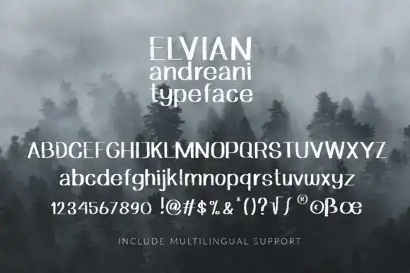 دانلود فونت انگلیسی دست نویس Elvian Andreani Font - 8 فونت انگلیسی دست نویس Elvian Andreani Font - 7