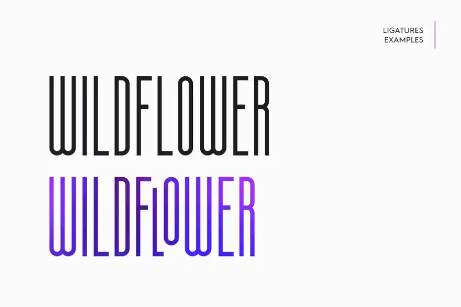 فونت انگلیسی مدرن Essenziale - Font Family - 5