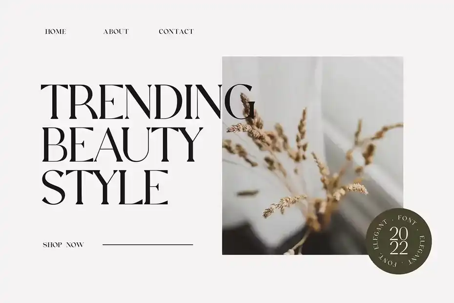 فونت انگلیسی کلاسیک Extradicta Classic Serif Font - 5