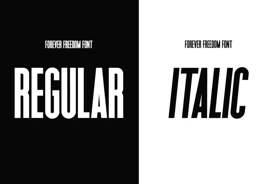 فونت انگلیسی مدرن Forever Freedom Font Family - 3