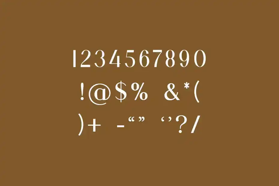 فونت انگلیسی کلاسیک Gashingtone Classic Serif Font - 9