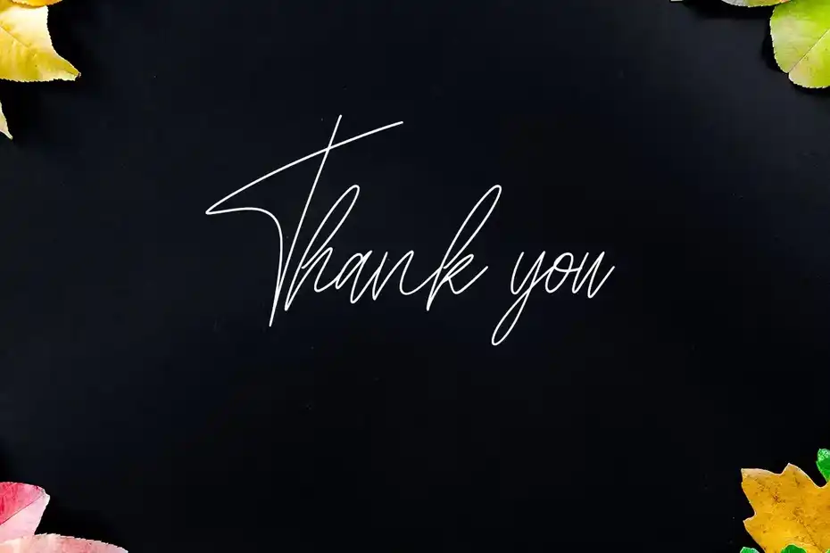 دانلود فونت انگلیسی به سبک امضا Kathilass - Signature Font - 8 فونت انگلیسی به سبک امضا Kathilass - Signature Font - 7