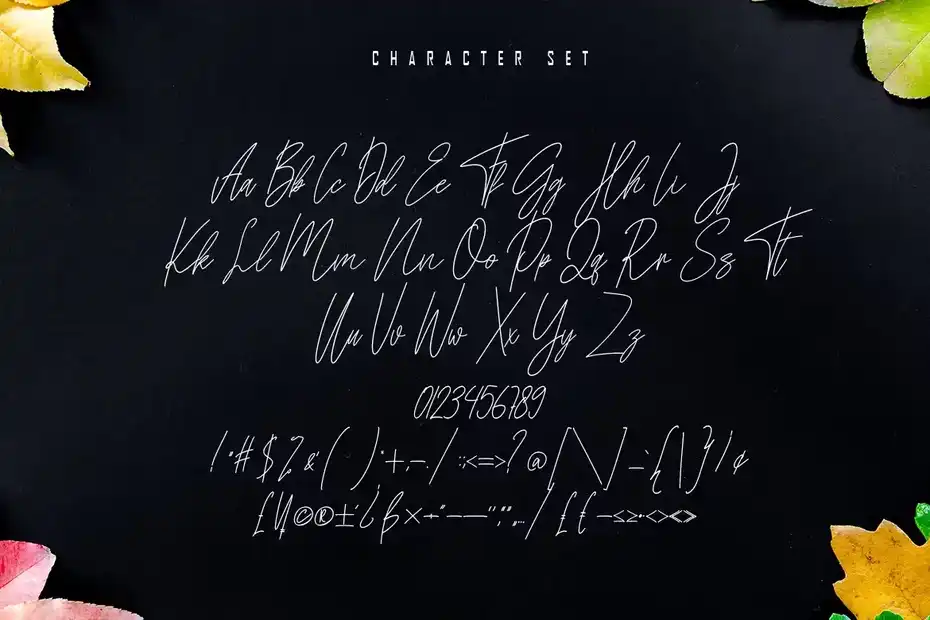 دانلود فونت انگلیسی به سبک امضا Kathilass - Signature Font - 12 فونت انگلیسی به سبک امضا Kathilass - Signature Font - 11