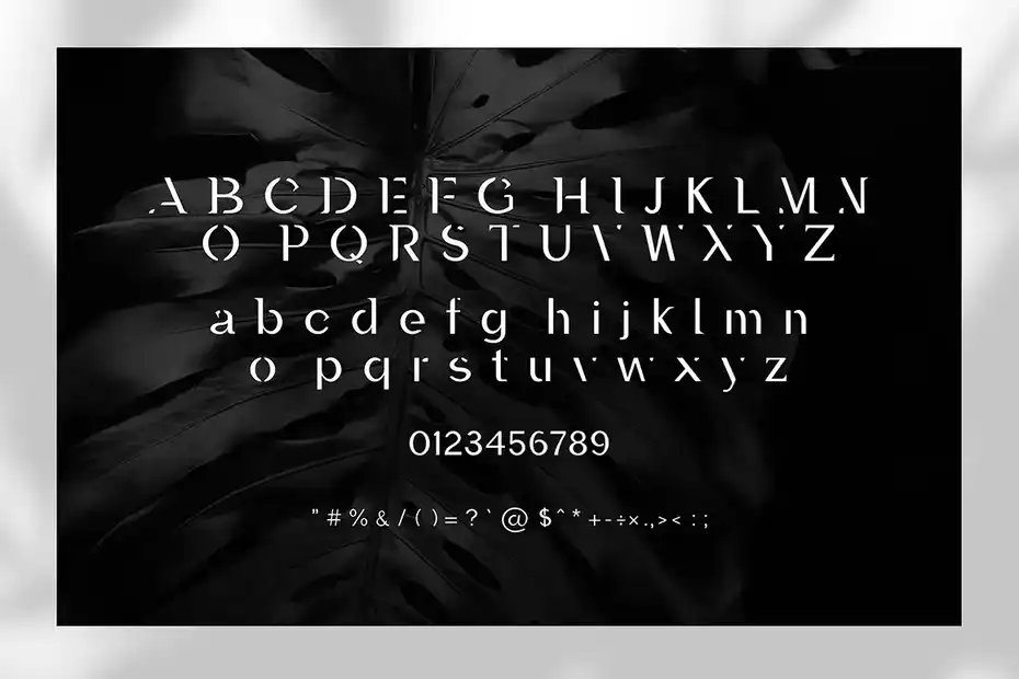 فونت انگلیسی مدرن Laura - A Minimal Luxury Font - 9