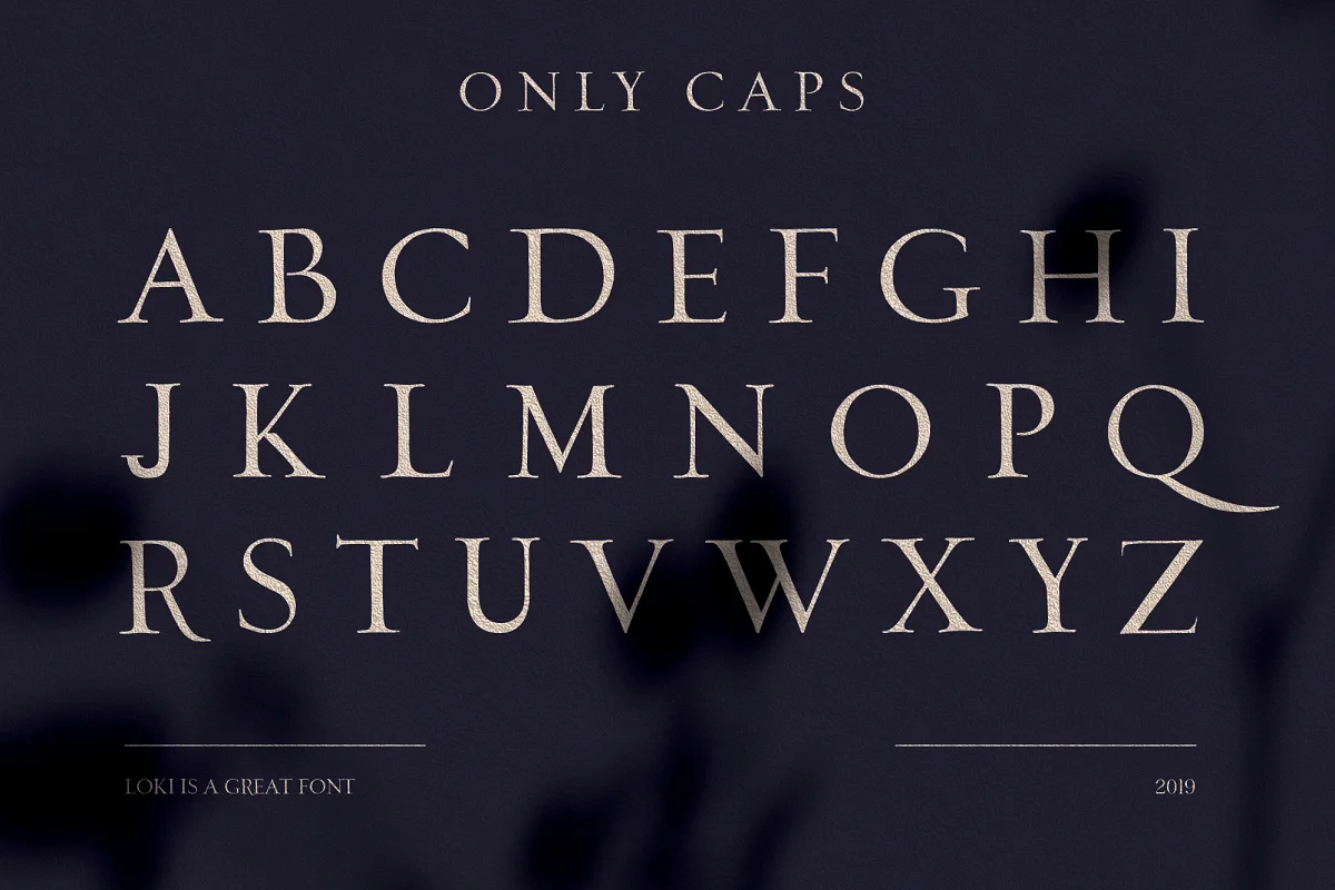 فونت انگلیسی کلاسیک Loki – Serif Script Font - 6