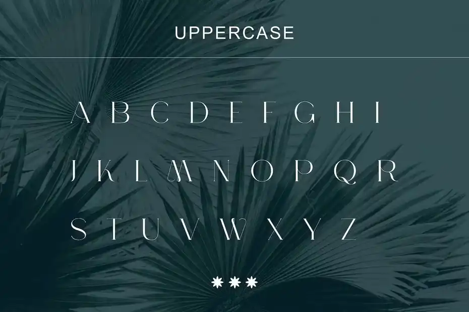 فونت انگلیسی مدرن Margito Modern Serif Font - 1