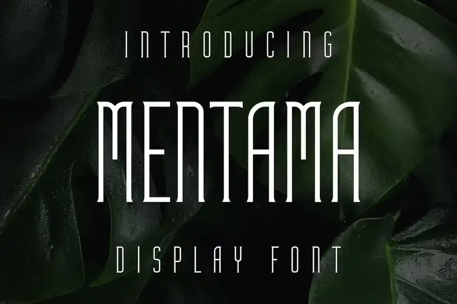 فونت انگلیسی مدرن Mentama Font - 3