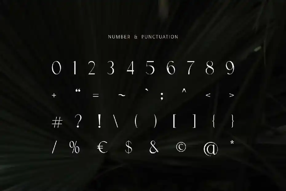 فونت انگلیسی مدرن Modern Font - Prestigious - 7