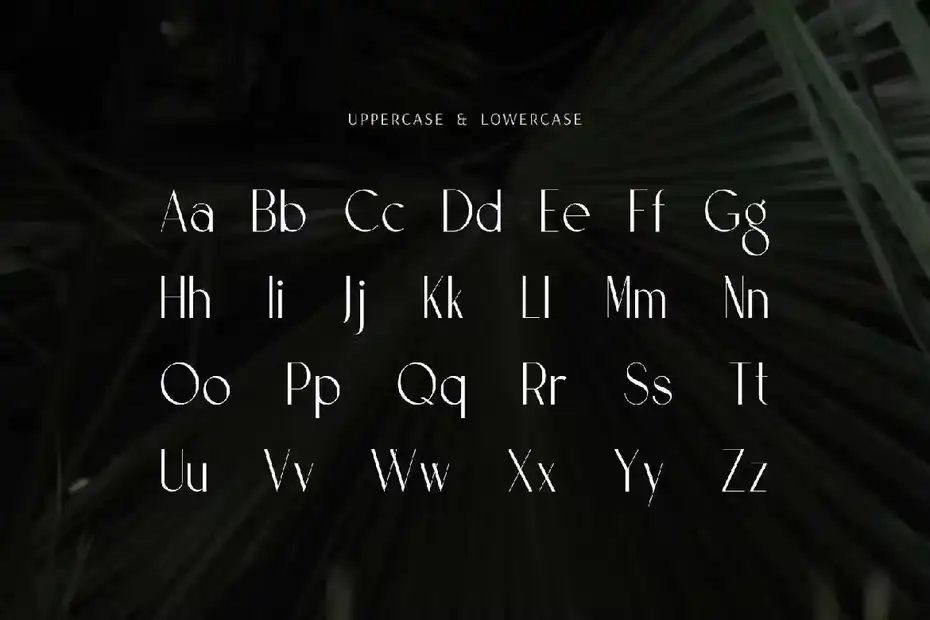 فونت انگلیسی مدرن Modern Font - Prestigious - 5