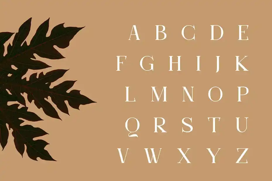 فونت انگلیسی مدرن Molten | Modern Serif - 1